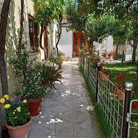 Hotel Kristina Mitllari 1 Tushemisht Esterno foto